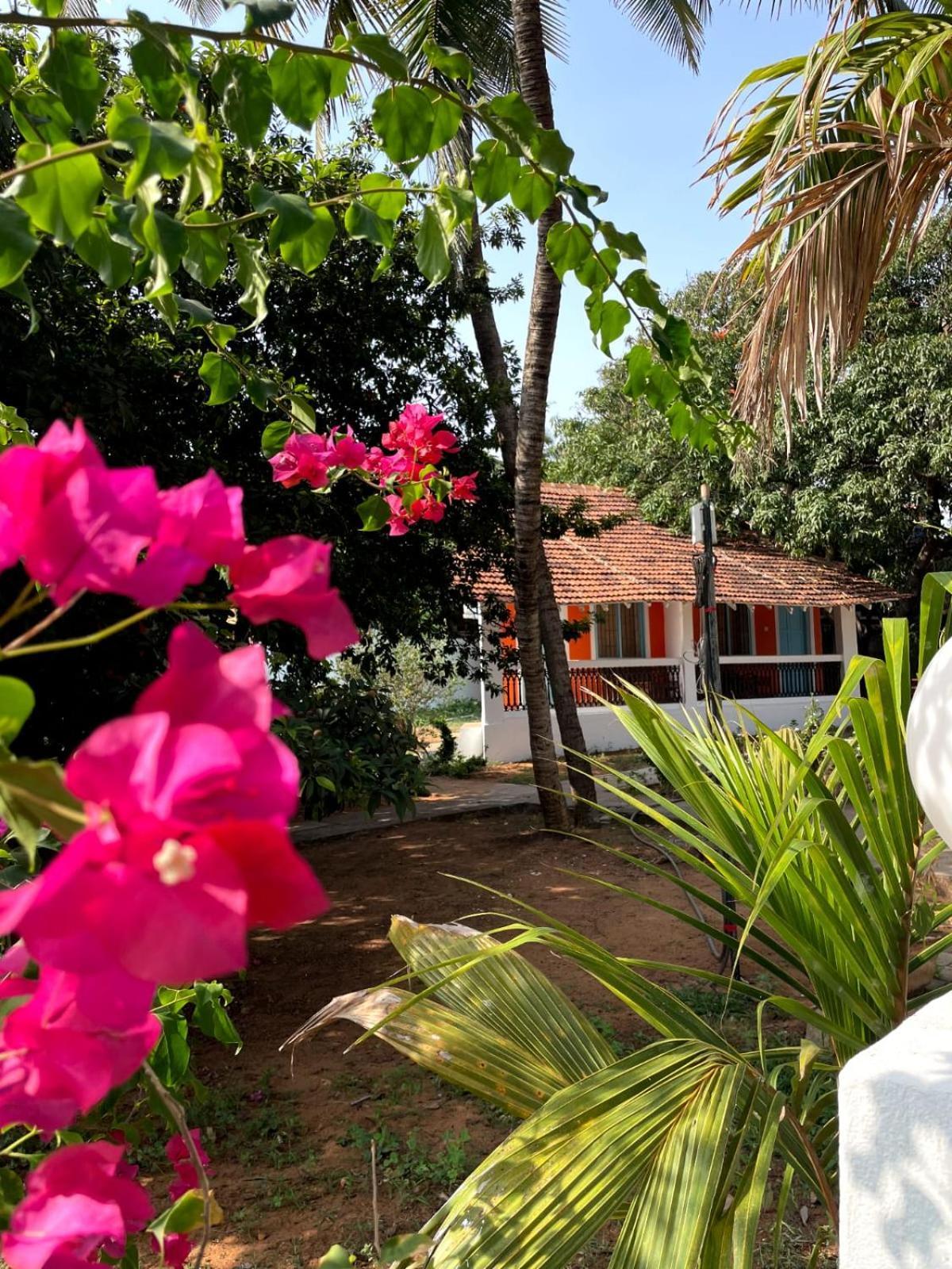 Papilio Beach Front Cottages-Tbv บากา ภายนอก รูปภาพ